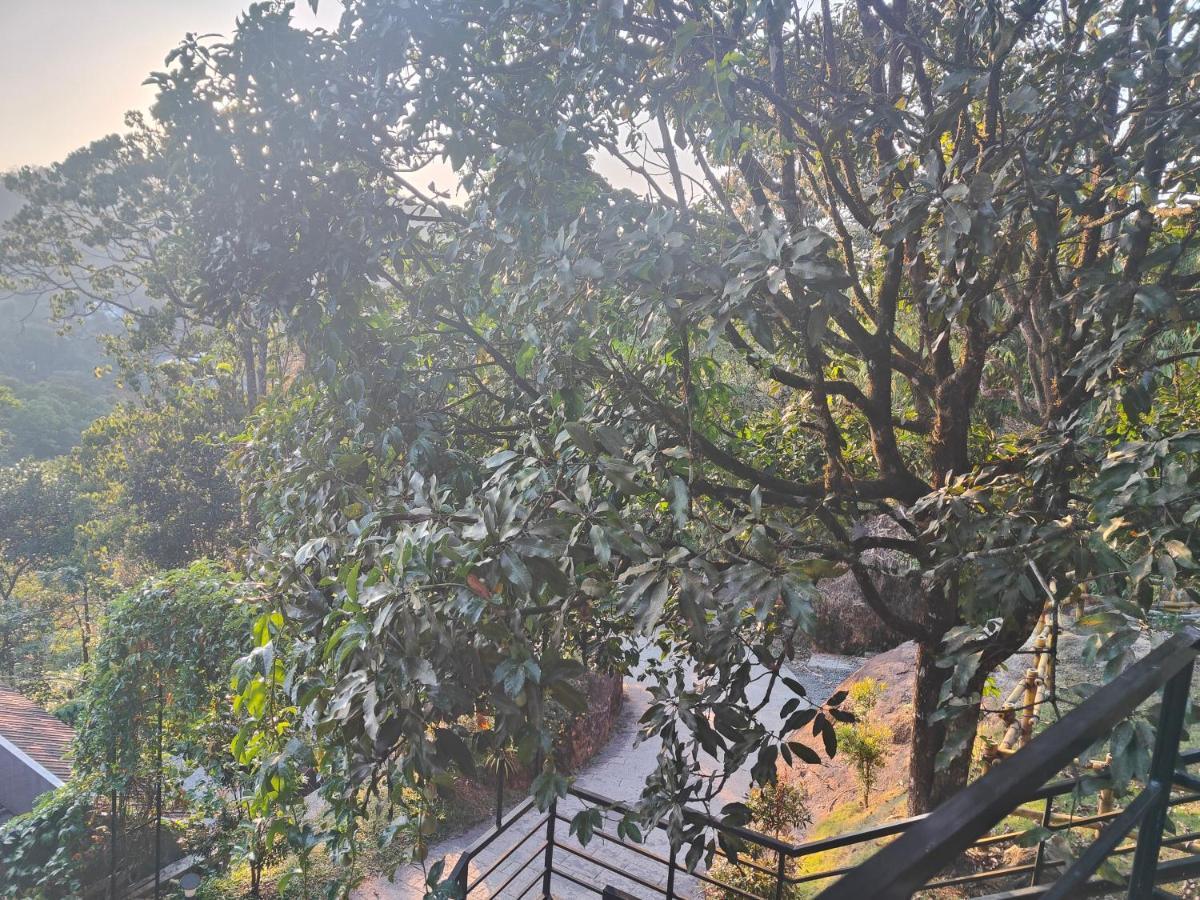 Hotel The Wild Trails Clarks Exotica , Munnar Zewnętrze zdjęcie